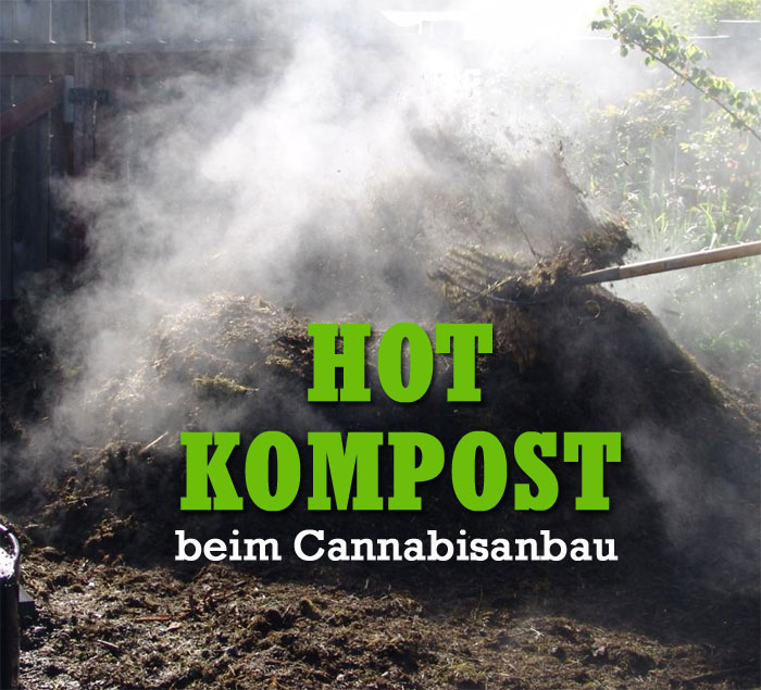 Hot compost, Heisskompostierung beim Cannabisanbau, Grow