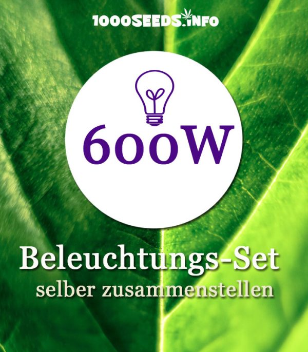 Beleuchtung-600W, Set