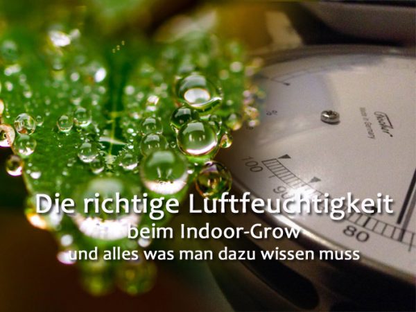 Luftfeuchtigkeit-Indoor