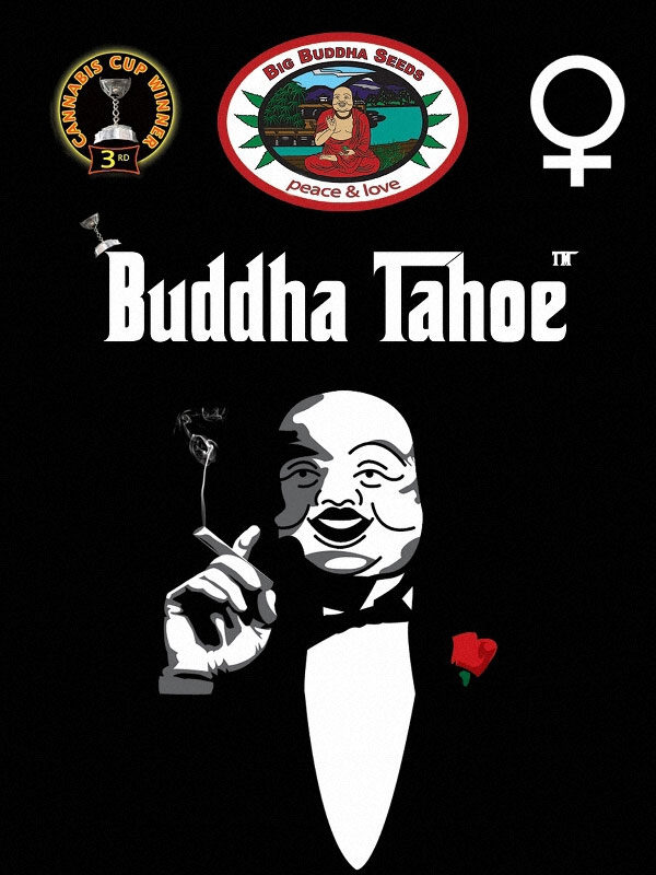 Buddha-Tahoe