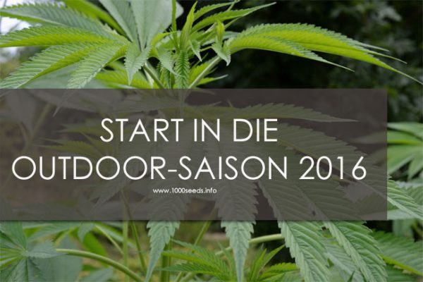 Start in die Outdoor Saison 2016