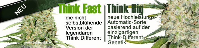 think-fast