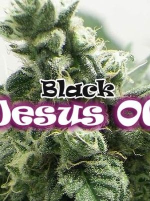 Black Jesus OG von Dr Underground