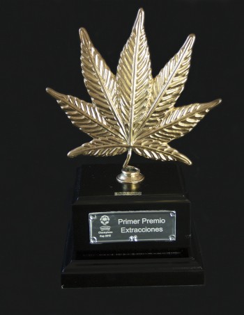 Shoreline winner cannabiscup