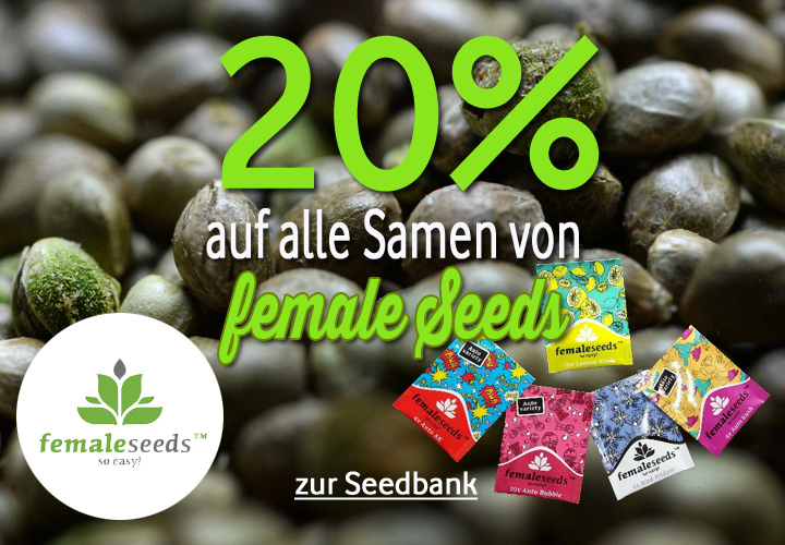 female Seeds Prozente