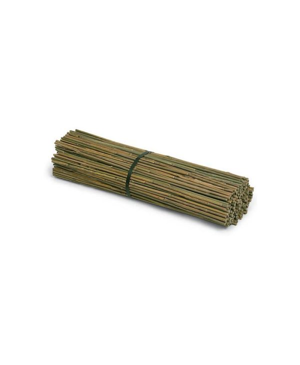 Vara de bambú