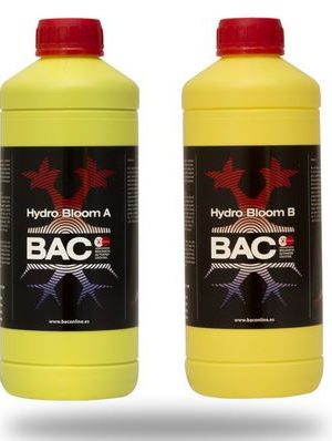 Hidro Bloom von BAC