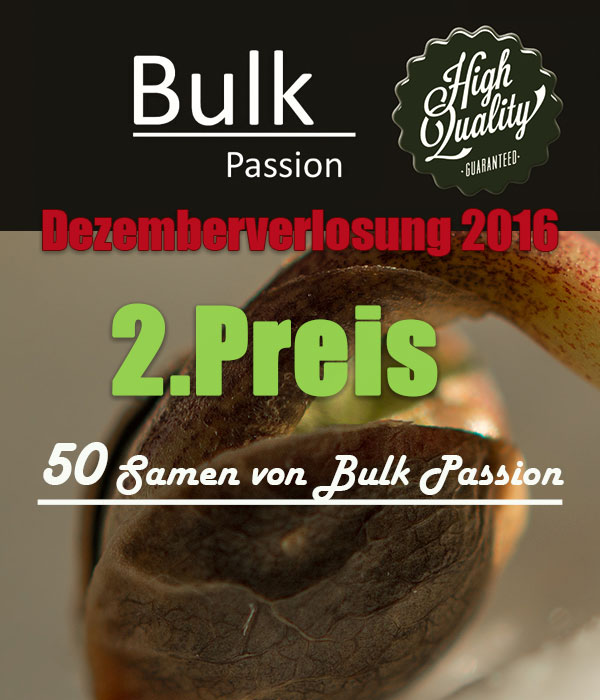 bulk-passion-gewinnen