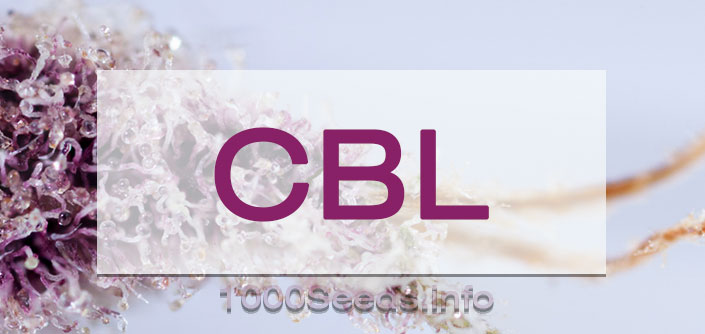 CBL Cannabinoid