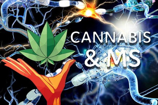 Cannabis-MS