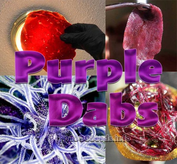 Purple Rosin