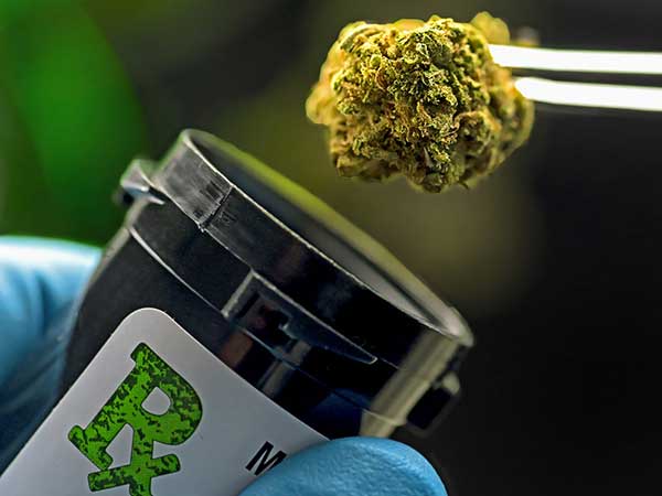 medizinisches-Cannabis-MS