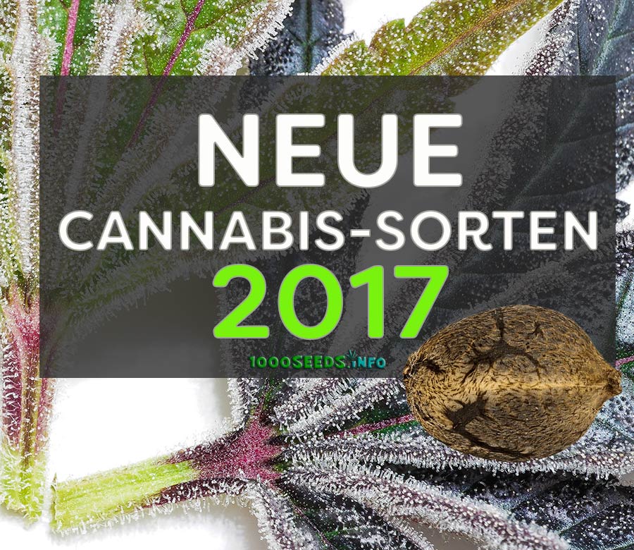 New Cannabis Varieties 2017