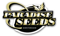 Paradise-Seeds-new-varieties