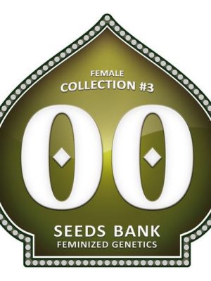 Female Collection #3 von 00 Seeds