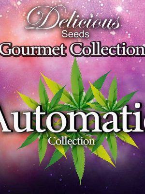Gourmet Collection Automatic