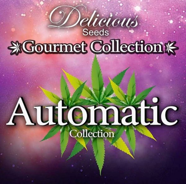 Gourmet Collection Automatic