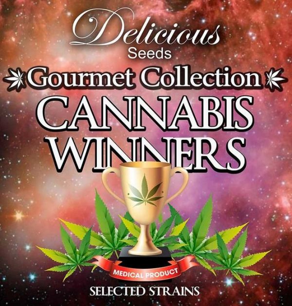 Gourmet Collection Cannabis Winners