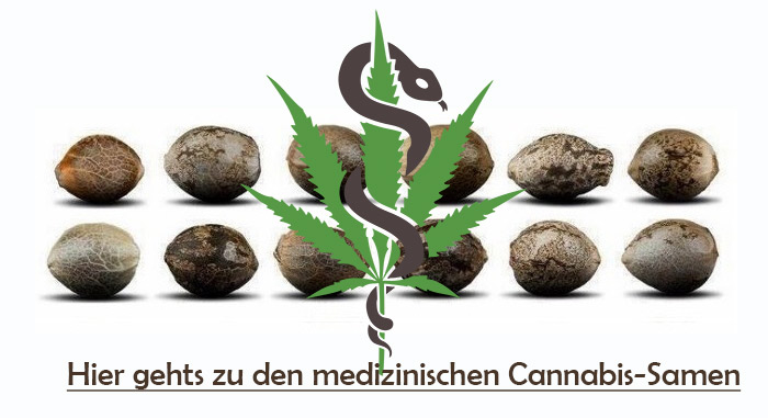 semillas de cannabis medicinal-comprar