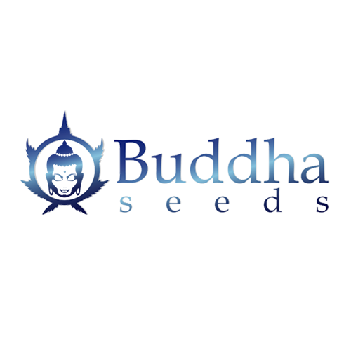 Buddha-Seeds