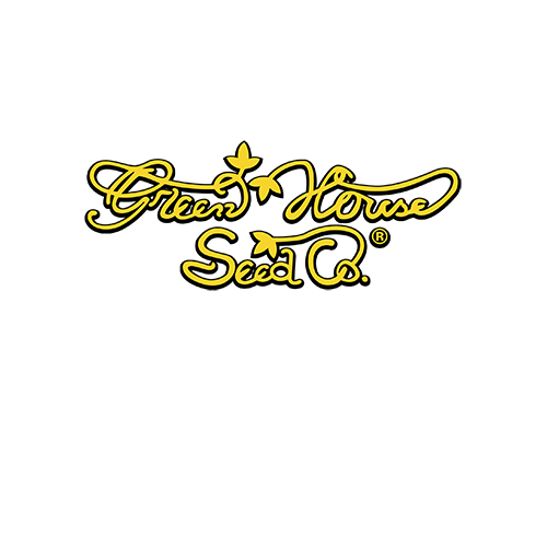 Greenhouse-female-Seeds