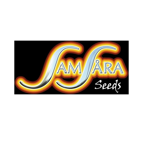 Samsara-Seeds