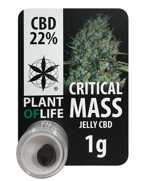 CBD Jelly Critical Mass (Plant of Life), 22% CBD, 1g