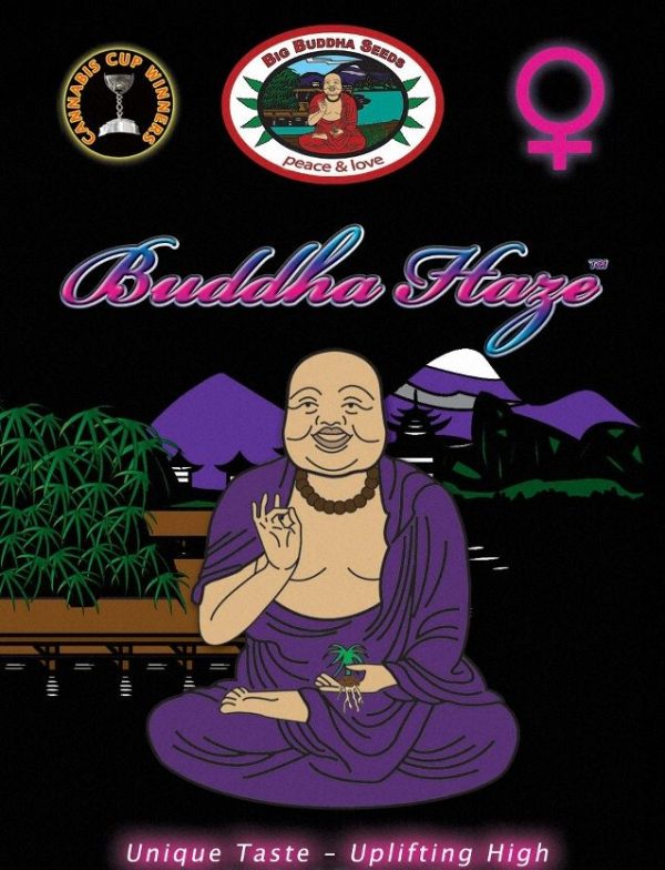 Big Buddha Haze