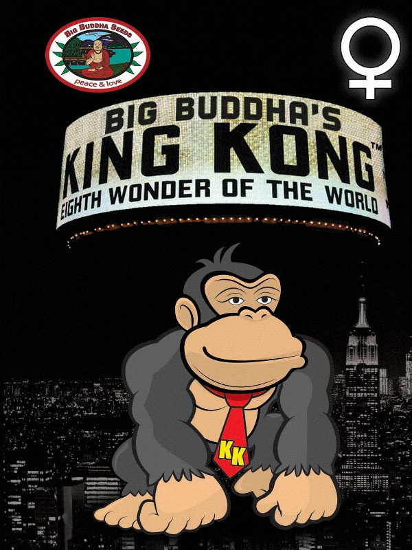 King Kong Gran Buda