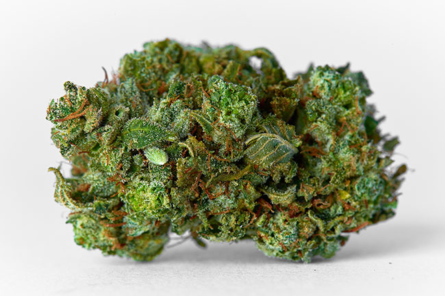 Cannabis-Buds