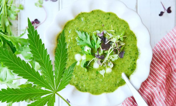 Cannabis-Suppe