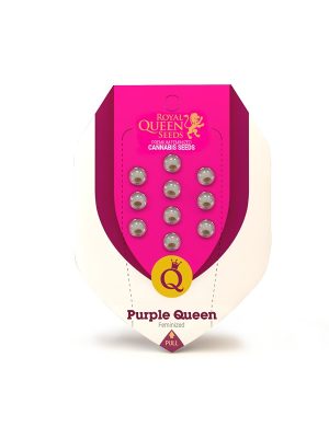 Púrpura-Queen