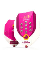 Royal-Cookies Royal Queen Seeds