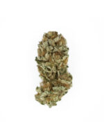 Royal-Cookies Royal Queen Seeds