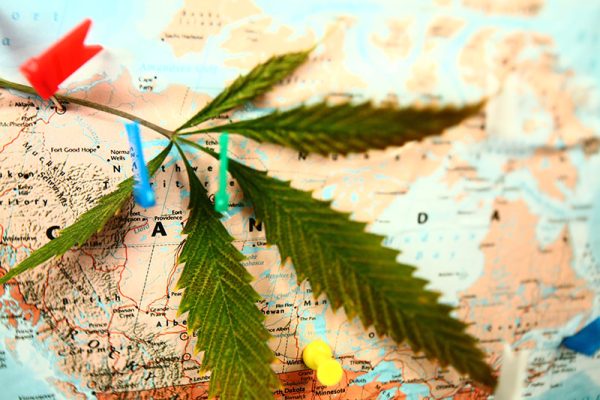 Cannabisforschung Länder