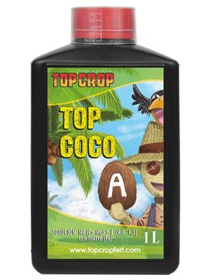 Top Coco A (Top Crop)