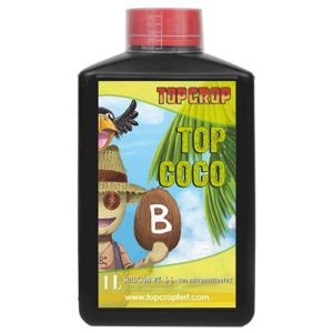 Top Coco B von Top Crop