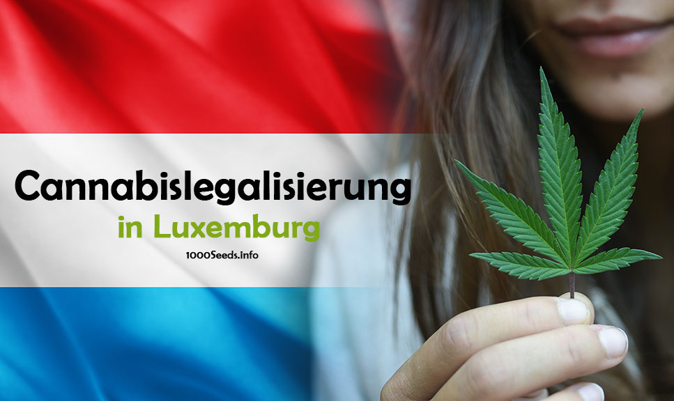 Legalización-Luxemburgo