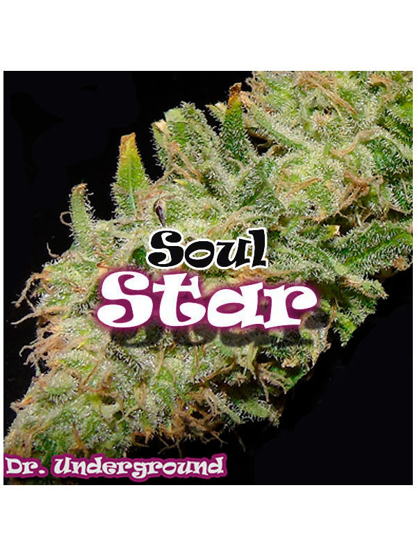 Soul Star von Dr Underground