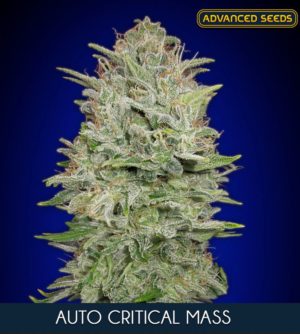 Auto Critical Mass von Advanced Seeds