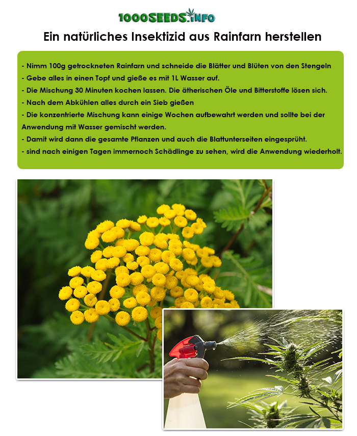 Tansy purely natural pest control