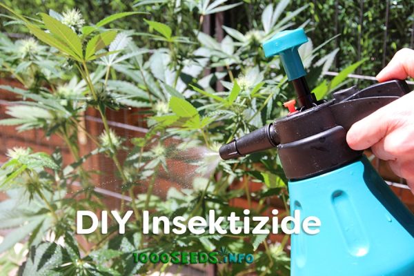 DIY-insektizide-Tipps
