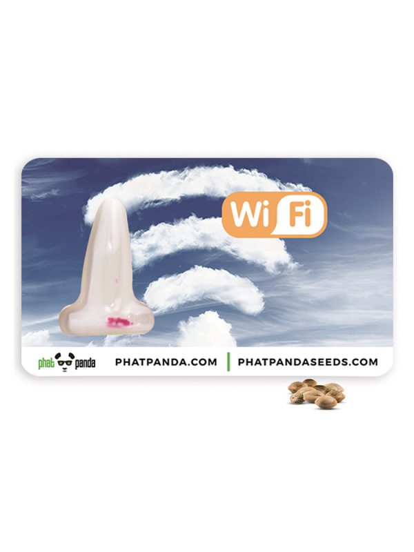 WiFi from Phat Panda