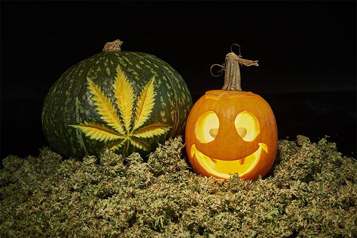 Cannabis Halloween