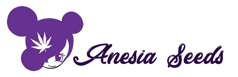 Anesia-Seeds-beste-Samenbank