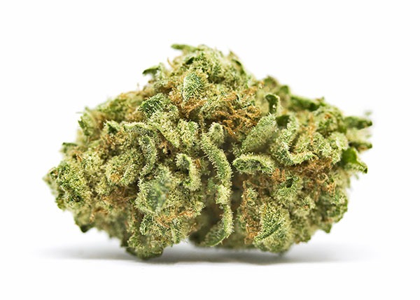 Cannabis-Bud
