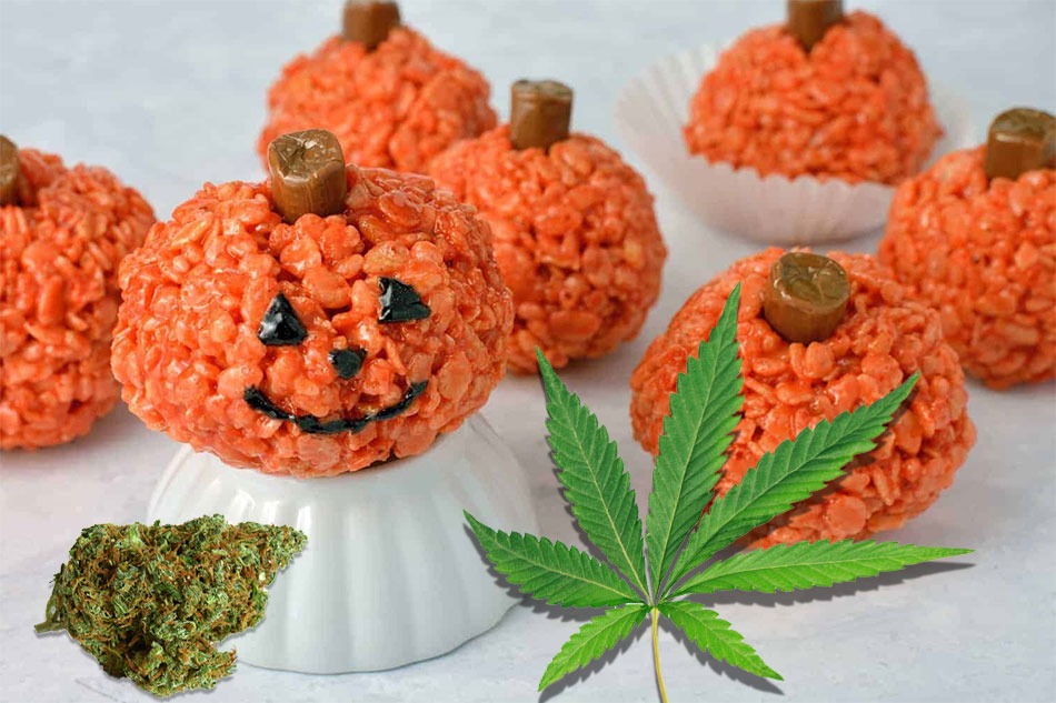 cannabis-pumpkins