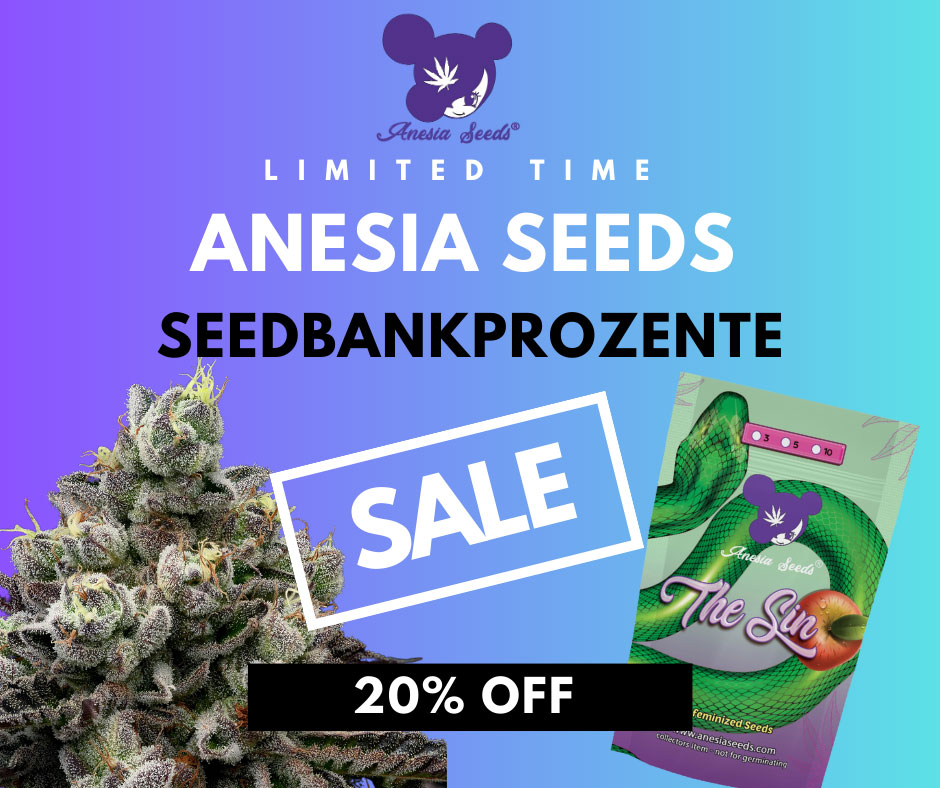 Anesia Seeds Sale