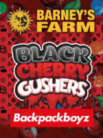 Black Cherry Gushers Barney's Farm