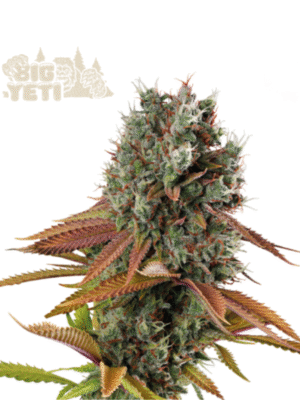 Big Yeti Outdoor Seed Stockers